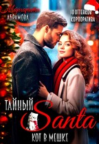 Тайный Санта. Кот в мешке — Маргарита Абрамова