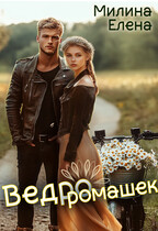 Ведро ромашек — Елена Милина