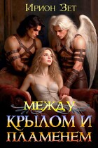 Между крылом и пламенем — Ирион Зет